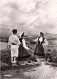 FOLKLORE - Danses - Les Ballets Basuqes Oldarra - Rencontre Au Pays Basque - Carte Postale - Danses