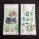 China Banknote Collection ，panda， Commemorative Fluorescence Test Note，UNC - Chine