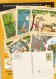 6 Cartes Postales Timbrées Illustrées . - Collections (without Album)