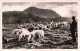 FRANCE - Pastorale Au Pied Du Puy De Dôme - Troupeau De Moutons - Carte Postale Ancienne - Autres & Non Classés