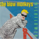 THE BLOW MONKEYS - Wildflower - Andere - Engelstalig