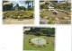 3 POSTCARDS AUSTRALIAN  FLORAL CLOCKS  PUBLISHED IN   AUSTRALA - Denkmäler