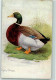 39174304 - Rouen Drake  Erpel  Raphael Tuck Serie  Prize Poultry - Vögel