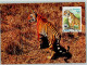 10507104 - Raubkatzen Der Tiger  - WMF Maximum Card Mit - Leones