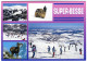 Super-Besse - Sports D'Hiver En Auvergne - Besse Et Saint Anastaise