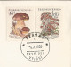 First Day Cancels 1018 - 1022 Czechoslovakia  Mushrooms 1958 - Paddestoelen