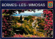 83 - Bormes Les Mimosas - Vue Générale - Fleurs - CPM - Voir Scans Recto-Verso - Bormes-les-Mimosas