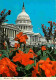 Etats Unis - Washington - Capitol - Fleurs - Automobiles - Carte Neuve - CPM - Voir Scans Recto-Verso - Washington DC