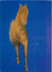 Animaux - Chevaux - Elliot McDonald - Art Peinture - CPM - Voir Scans Recto-Verso - Chevaux