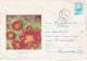 A24542  - BUJOR STEPA FLOWER  Cover Stationery 1965 ROMANIA - Interi Postali