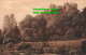 R392738 Dunster Castle From The River. F. Frith. No. 20904 - Mundo