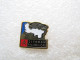 PIN'S   CITROEN    ZX  FRANCE NORD - Citroën