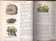 Encyclopédie De Sciences Naturelles - Enciclopedias