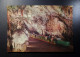 Jugoslavija  - Yugoslavia - Postojnska Jama Jamski Vlak - - Cave - Grottes - Train - Unused Card - Joegoslavië