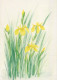 FIORI Vintage Cartolina CPSM #PAR490.A - Flowers