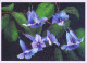 FIORI Vintage Cartolina CPSM #PAR045.A - Flowers