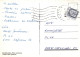 OISEAU Animaux Vintage Carte Postale CPSM #PAN195.A - Birds