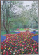 HOLLAND NETHERLAND LISSE KEUKENHOF FLOWER GARDENS POSTCARD CARTOLINA ANSICHTSKARTE CARTE POSTALE POSTKARTE CARD KARTE - Lisse