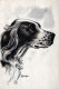DOG Animals Vintage Postcard CPA #PKE776.A - Chiens