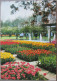 HOLLAND NETHERLAND LISSE KEUKENHOF FLOWER GARDENS POSTCARD CARTOLINA ANSICHTSKARTE CARTE POSTALE POSTKARTE CARD KARTE - Lisse