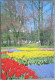 HOLLAND NETHERLAND LISSE KEUKENHOF FLOWER GARDENS POSTCARD CARTOLINA ANSICHTSKARTE CARTE POSTALE POSTKARTE CARD KARTE - Lisse