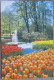 HOLLAND NETHERLAND LISSE KEUKENHOF FLOWER GARDENS POSTCARD CARTOLINA ANSICHTSKARTE CARTE POSTALE POSTKARTE CARD KARTE - Lisse