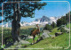 54807. Postal ANDORRA La VELLA (Andorra Española) 1986. Vista Vall D'Envalira - Lettres & Documents