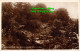 R393920 Rock Gardens. Old Manor House. Eastbourne. 83. RP. 1929 - World