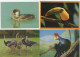 Lot De 80 Cartes Postales Modernes - OISEAUX - - 5 - 99 Cartes