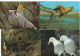 Delcampe - Lot De 80 Cartes Postales Modernes - OISEAUX - - 5 - 99 Cartoline