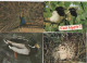 Delcampe - Lot De 80 Cartes Postales Modernes - OISEAUX - - 5 - 99 Cartes