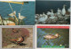 Delcampe - Lot De 80 Cartes Postales Modernes - OISEAUX - - 5 - 99 Postkaarten