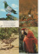 Delcampe - Lot De 80 Cartes Postales Modernes - OISEAUX - - 5 - 99 Postkaarten