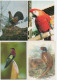 Delcampe - Lot De 80 Cartes Postales Modernes - OISEAUX - - 5 - 99 Postcards