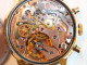 Montre Bracelet Chronographe PRIMEVERE Calibre LANDRON 248 - Années 50 Révisée  Montre Chronographe De Grandes Dimension - Montres Haut De Gamme