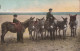 DONKEY Animals Children Vintage Antique Old CPA Postcard #PAA328.GB - Ezels