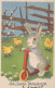 EASTER RABBIT Vintage Postcard CPA #PKE309.GB - Easter