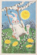 EASTER RABBIT Vintage Postcard CPSM #PBO360.GB - Easter