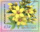 RUSSIE/RUSSIA/RUSSLAND/ROSJA 2023** MI.3265-68  ,ZAG..3040-43 Flora Of Russia. Primrose Family series MNH ** - Unused Stamps
