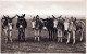 BURRO Animales Vintage Antiguo CPA Tarjeta Postal #PAA065.ES - Donkeys