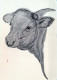 VACA Animales Vintage Tarjeta Postal CPSM #PBR814.ES - Vacas