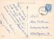 FLEURS Vintage Carte Postale CPSM #PAS463.FR - Blumen