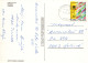 FLEURS Vintage Carte Postale CPSM #PAR502.FR - Blumen