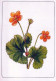 FLEURS Vintage Carte Postale CPSM #PAR502.FR - Blumen