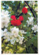 FLOWERS Vintage Ansichtskarte Postkarte CPSM #PBZ511.DE - Blumen