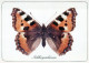 SCHMETTERLINGE Tier Vintage Ansichtskarte Postkarte CPSM #PBS418.DE - Mariposas