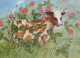 KUH Tier Vintage Ansichtskarte Postkarte CPSM #PBR816.DE - Cows