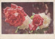 FLOWERS Vintage Ansichtskarte Postkarte CPSM #PAR443.DE - Blumen