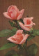 FLOWERS Vintage Ansichtskarte Postkarte CPSM #PAR983.DE - Blumen