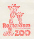Meter Cut Netherlands 2000 Giraffe - Zoo Rotterdam - Andere & Zonder Classificatie
